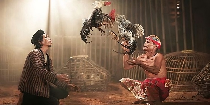 Đá Gà Trực Tiếp Philippines Hấp Dẫn Thu Hút Anh Em