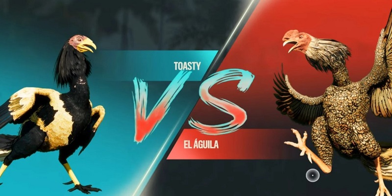 Đá gà trực tiếp Philippines đa dạng và phong phú