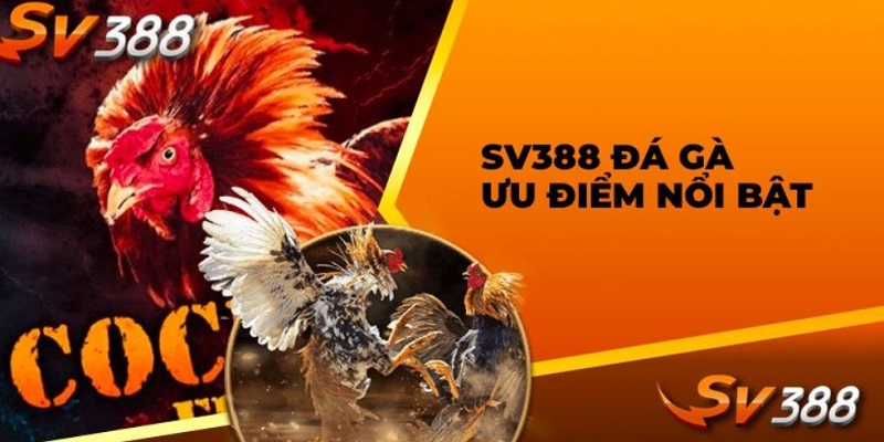 Cách đăng ký tài khoản trên SV388