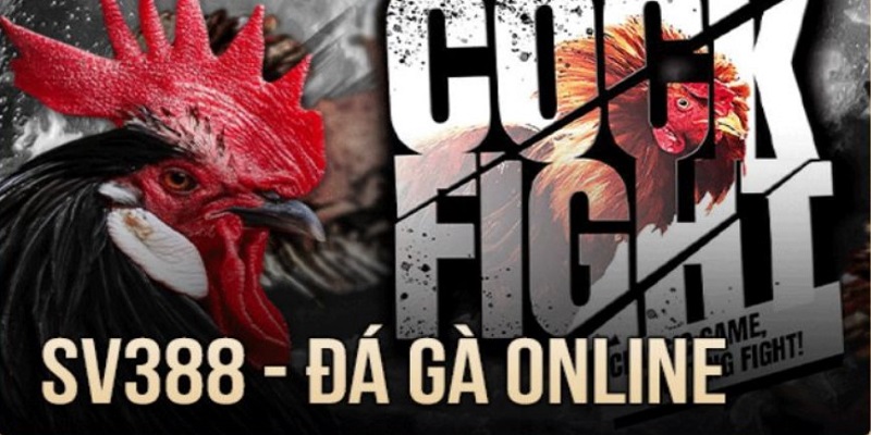 Các khuyến mãi và ưu đãi đá gà trực tiếp SV388