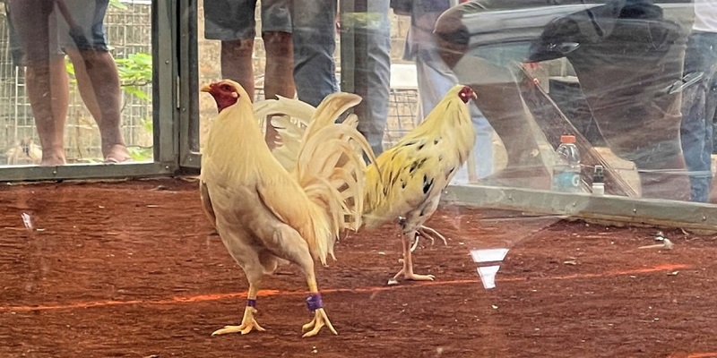 Đăng ký tài khoản