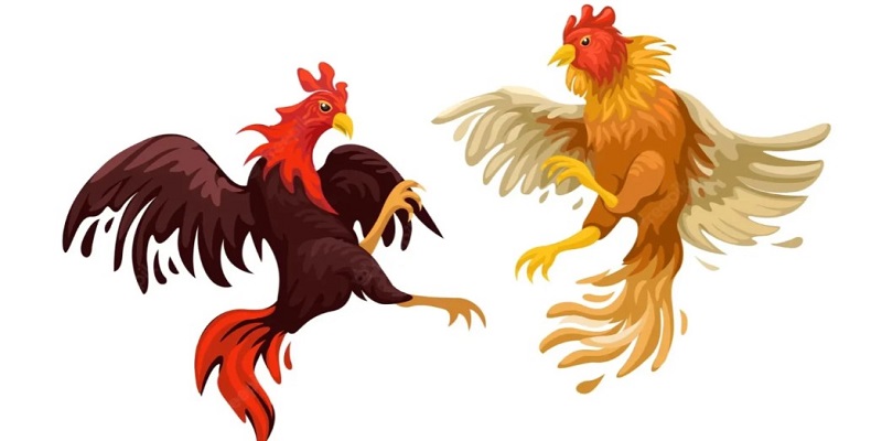 Đá gà trực tiếp Philippines là gì?