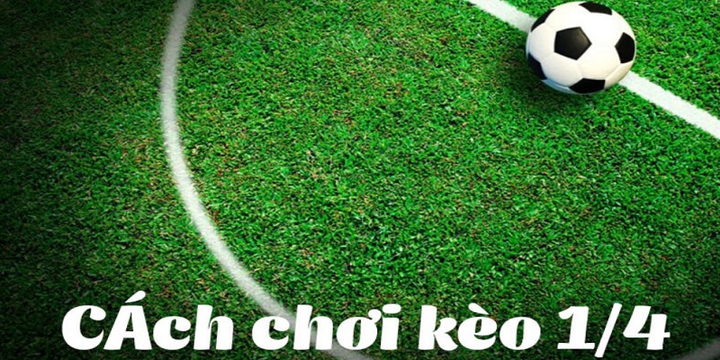 Đặt cược kèo bóng 1/4 thông minh