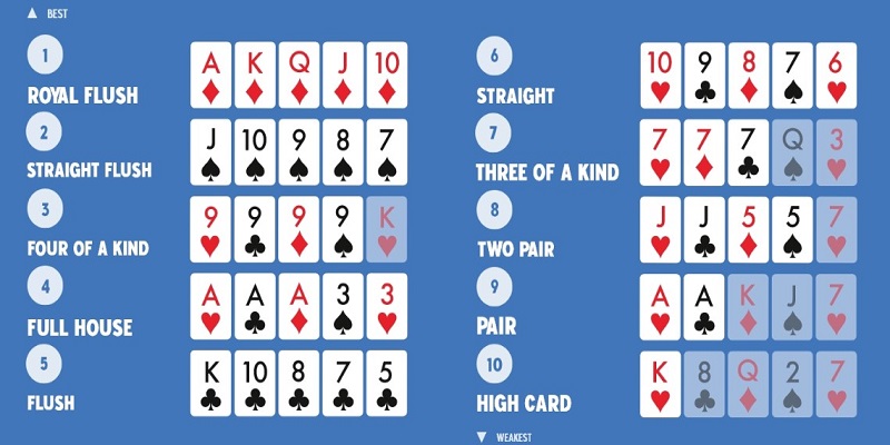 Đọc kỹ đối thủ