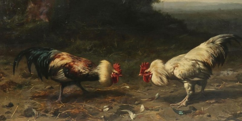 Đá Gà Trực Tiếp 369 Khẳng Định Giá Trị Theo Năm Tháng