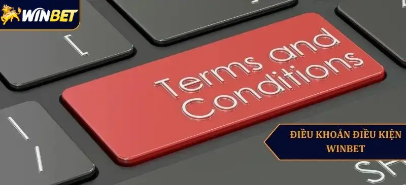 Tìm hiểu về các điều kiện điều khoản winbet mới nhất